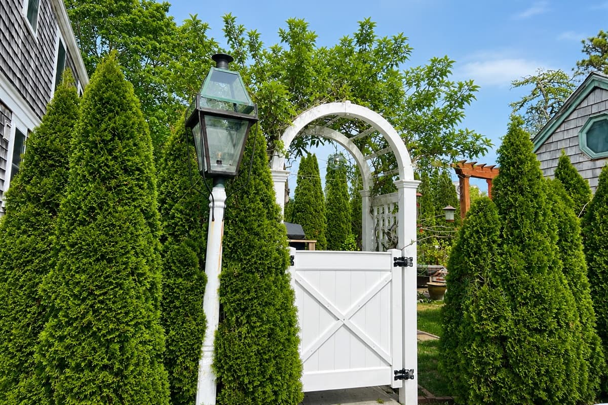 Entrance from Parking