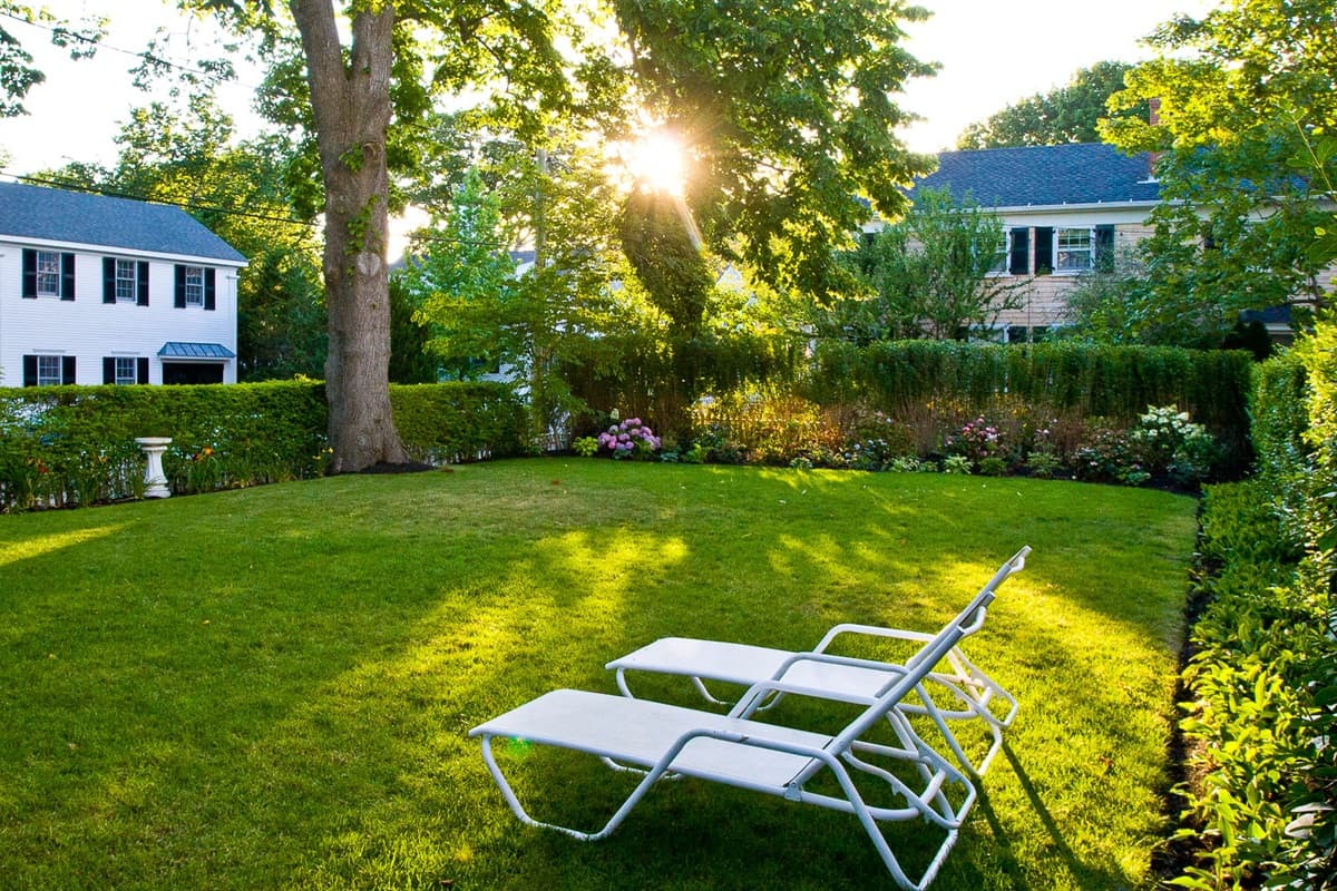 Back Lawn and Chaise Lounges (5)