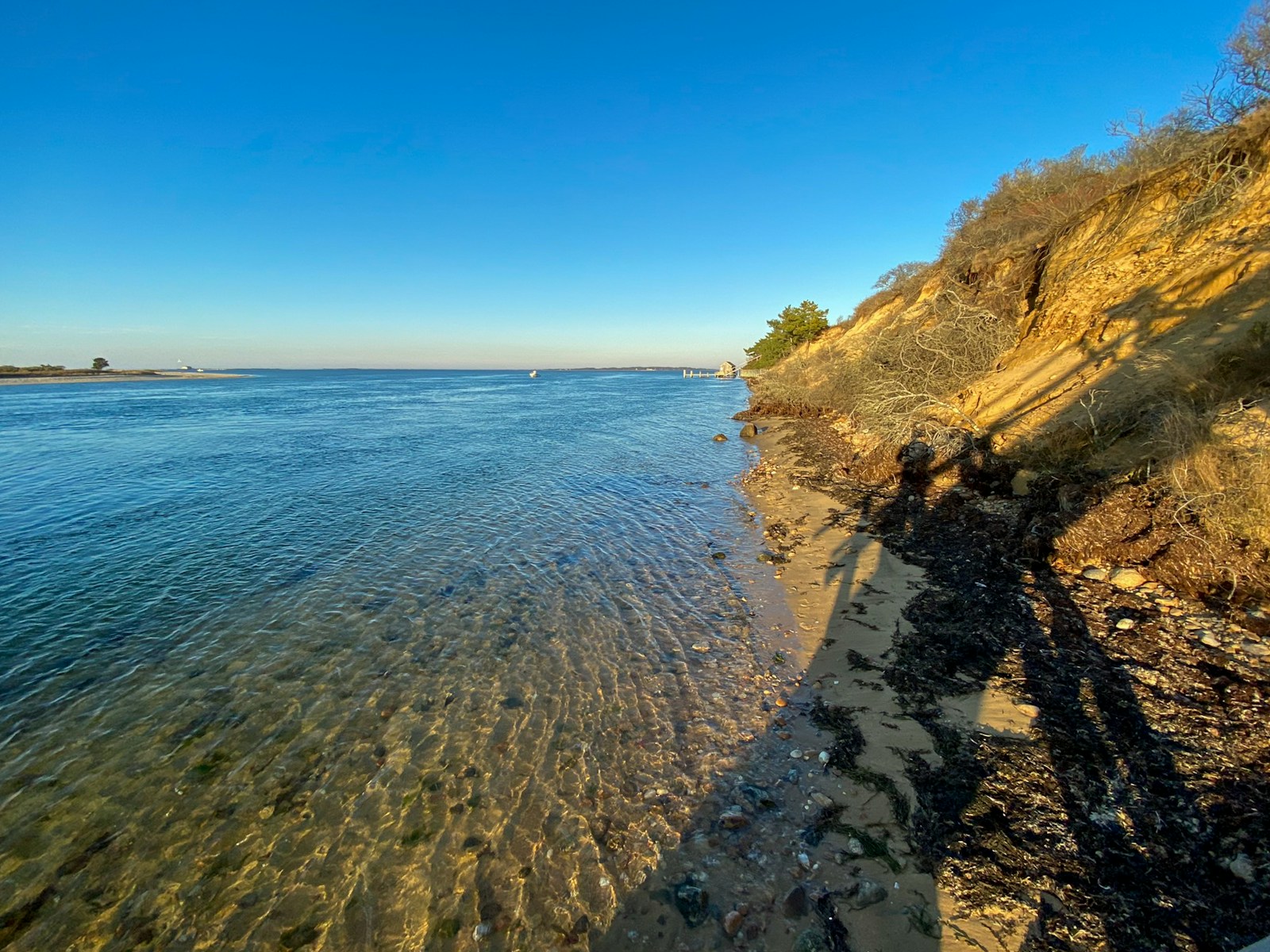 Clear shallow water meeting a sandy Martha's Vineyard shoreline below a low bluff at golden hour