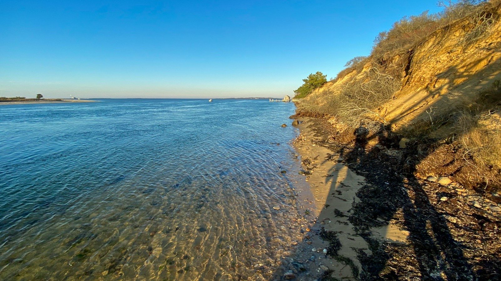 Empty beach below a low bluff off-season, bare scrub and raking light on the sand